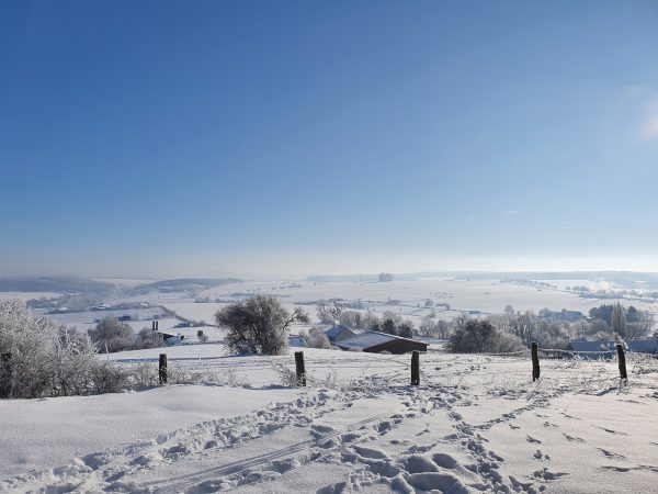 Winter in Altenheerse - Blick auf den Schonlau